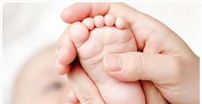 Foto: (Imagem sem texto alternativo disponivel ID [437117])