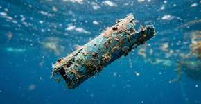 Descoberta colossal contra as mudanças climáticas: as bactérias marinhas conseguem se unir para decompor plásticos