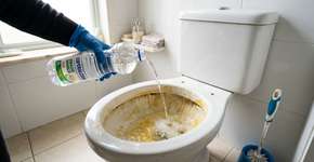 Despejar vinagre no vaso sanitário: para que serve e por que é recomendado