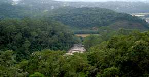 Foto: (Imagem sem texto alternativo disponivel ID [2222509])