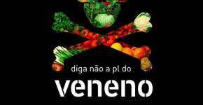 Foto: (Imagem sem texto alternativo disponivel ID [1574299])