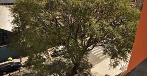 Foto: (Imagem sem texto alternativo disponivel ID [635937])