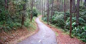 Foto: (Imagem sem texto alternativo disponivel ID [1567233])