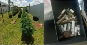 Delegado preso no DF produzia maconha em ‘escala industrial’, diz polícia