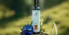 Foto: (Imagem sem texto alternativo disponivel ID [2580054])