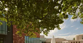 Foto: (Divulgação/University of Warwick)