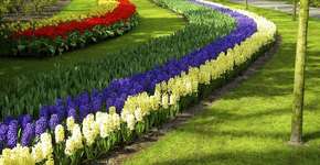 Foto: (Getty Images/iStockphoto)