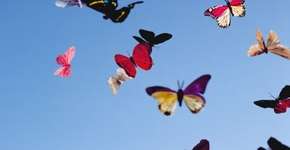 “Ói Só Procê Vê” no Sesc Pinheiros