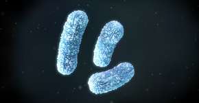 Foto: (gaetan stoffel/istock)