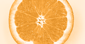 Foto: (Imagem sem texto alternativo disponivel ID [1852427])