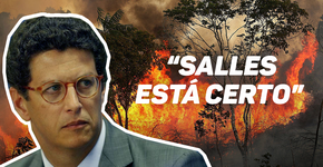 Vinicius Poit defende Salles como ministro do Meio Ambiente