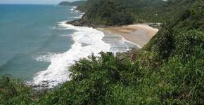 Foto: (Imagem sem texto alternativo disponivel ID [1868265])