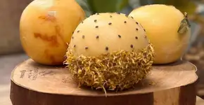 Foto: (Reprodução/Instagram@biopark_)