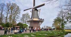 Foto: (Imagem sem texto alternativo disponivel ID [778999])