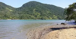 Foto: (Adriane A Medeiros/WIki Commons)