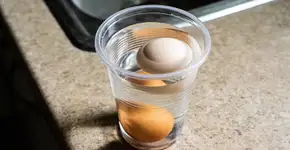 Foto: (Imagem sem texto alternativo disponivel ID [2719879])