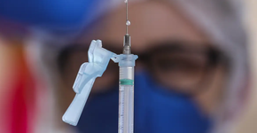 Instituto brasileiro inicia testes de vacina contra gripe aviária