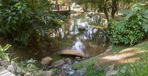 Foto: (Imagem sem texto alternativo disponivel ID [2190178])