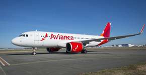 Foto: (Divulgação)