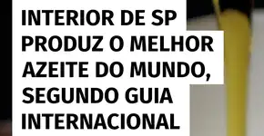 Azeite do interior de SP é eleito o melhor do mundo por guia internacional