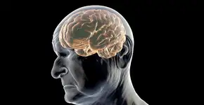 Foto: (katerynakon/Deposit Photos)