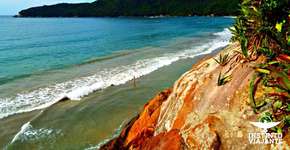 Foto: (Imagem sem texto alternativo disponivel ID [868987])