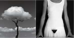 Foto: (Imagem sem texto alternativo disponivel ID [1075980])