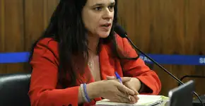 Foto: (Agência Senado/Geraldo Magela)