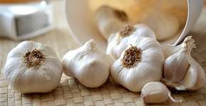 Foto: (Imagem sem texto alternativo disponivel ID [836257])