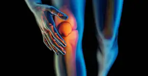 Foto: (Depositphotos/Iurii)