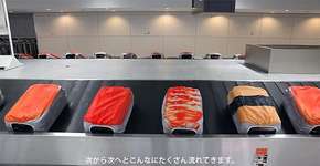 Foto: (Imagem sem texto alternativo disponivel ID [889521])