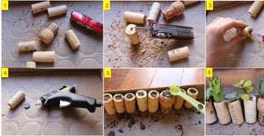 Faça você mesmo um minijardim com rolhas