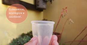 Cinco curiosidades sobre o uso do coletor menstrual