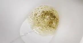 Foto: (Depositphotos/MVolodymyr)