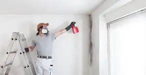 Mofo e umidade: como eles podem afetar sua saúde e como eliminar de vez da sua casa