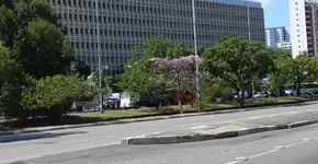 Morre mulher trans que foi queimada por adolescente no Recife