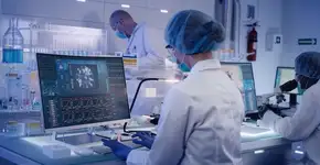 OMS afirma que talvez nunca exista uma vacina ou uma cura da covid-19