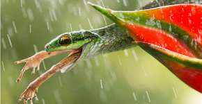 Foto: (Imagem sem texto alternativo disponivel ID [1831633])