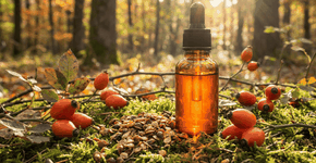 Foto: (Imagem sem texto alternativo disponivel ID [2742431])