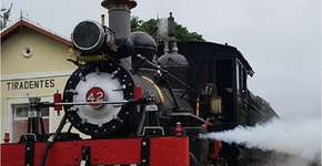 Foto: (Luiz Cesar Costa/Divulgação)