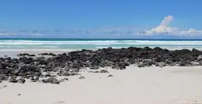 O que fazer em Puerto Ayora, na ilha de Galápagos
