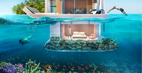 Foto: (Imagem sem texto alternativo disponivel ID [884470])