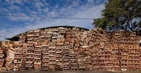 Foto: (Imagem sem texto alternativo disponivel ID [1862246])