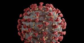 Variante Mu: 5 coisas que já se sabe sobre a nova cepa do coronavírus