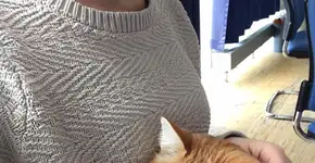 Gatinha alivia rotina de estudantes em universidade