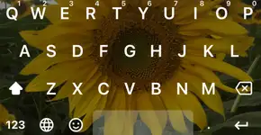 Aprenda a personalizar o teclado do WhatsApp em 6 passos