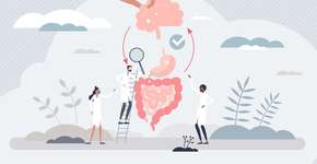 Foto: (Imagem sem texto alternativo disponivel ID [2613158])