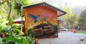 Parque do Pedroso vai ganhar wi-fi e câmeras de monitoramento