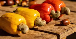 Foto: (Imagem sem texto alternativo disponivel ID [2715805])