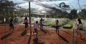 Estudantes do DF participam de projeto para a preservação do Cerrado